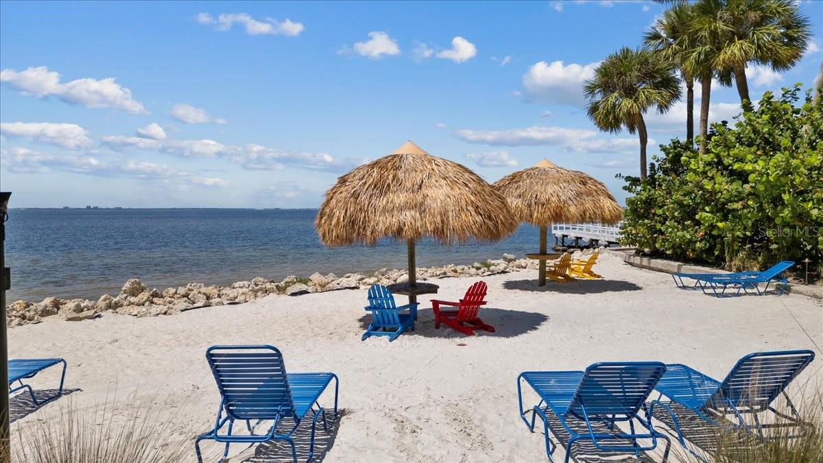 2506 N ROCKY POINT DR #369, TAMPA, FL, 33607