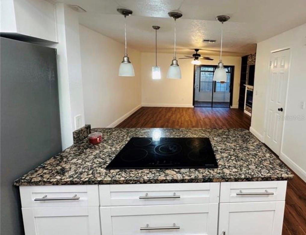 4010 PINE LIMB CT, TAMPA, FL, 33614