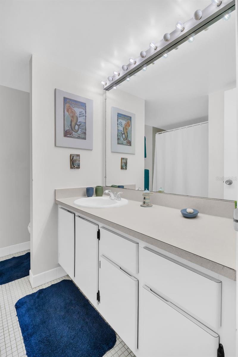 617 WINDRUSH BAY DR #617, TARPON SPRINGS, FL, 34689