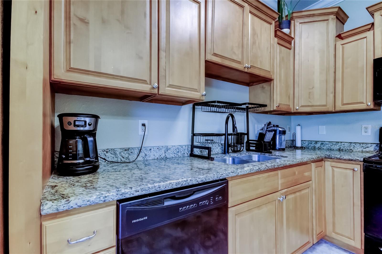 258 ALEXANDER WOODS DR, PLANT CITY, FL, 33563