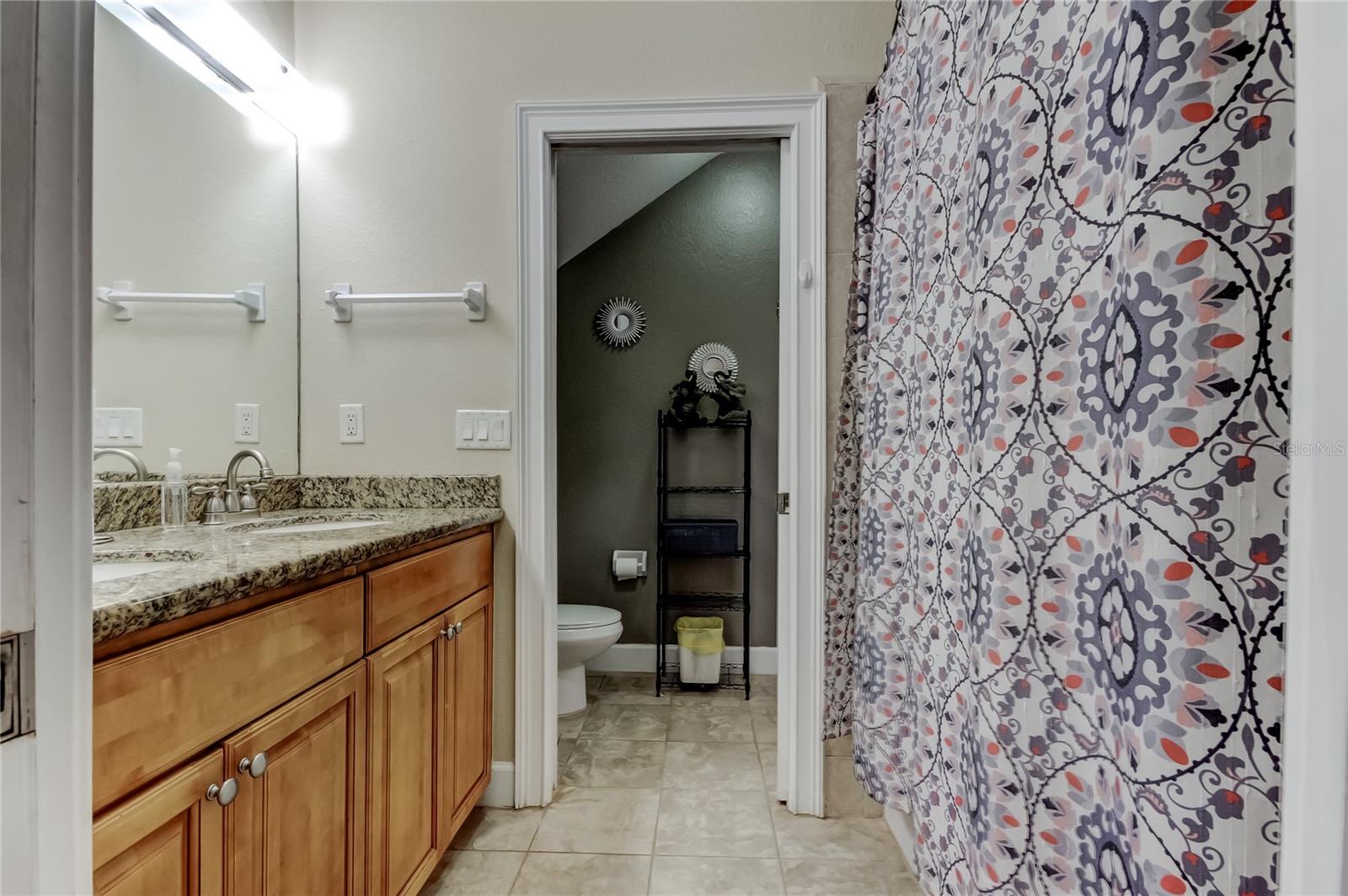 258 ALEXANDER WOODS DR, PLANT CITY, FL, 33563