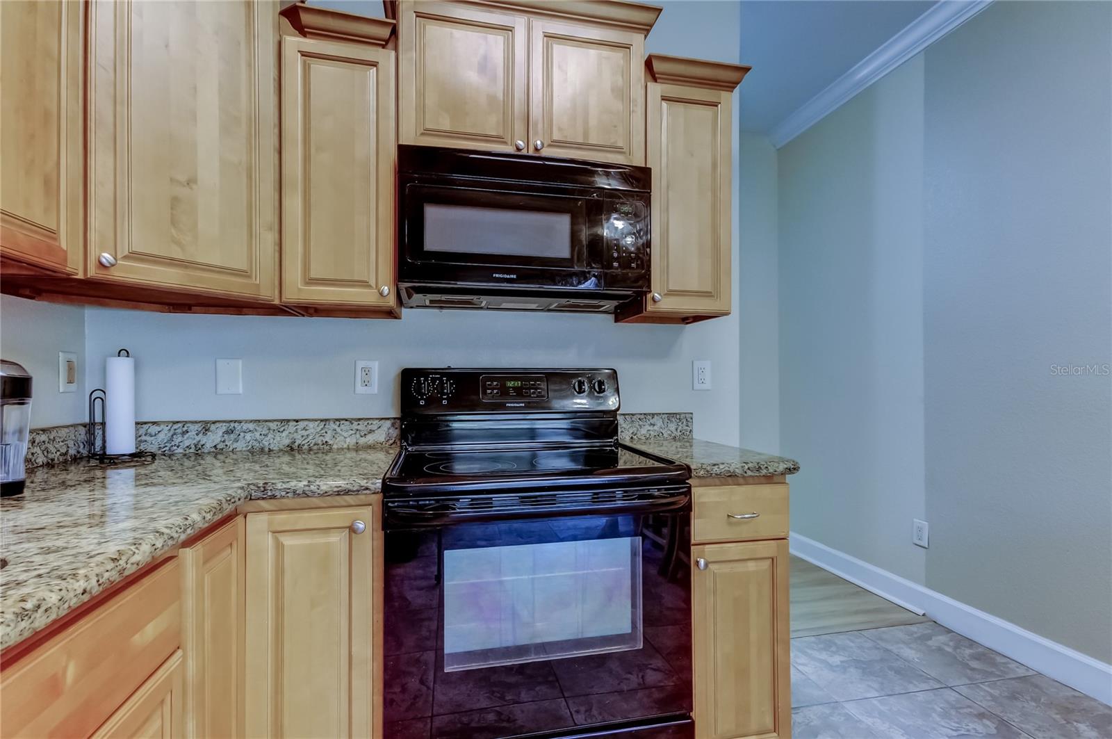 258 ALEXANDER WOODS DR, PLANT CITY, FL, 33563