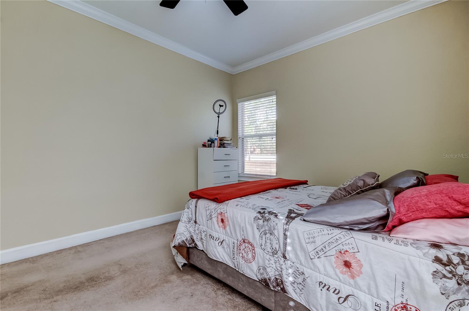 258 ALEXANDER WOODS DR, PLANT CITY, FL, 33563