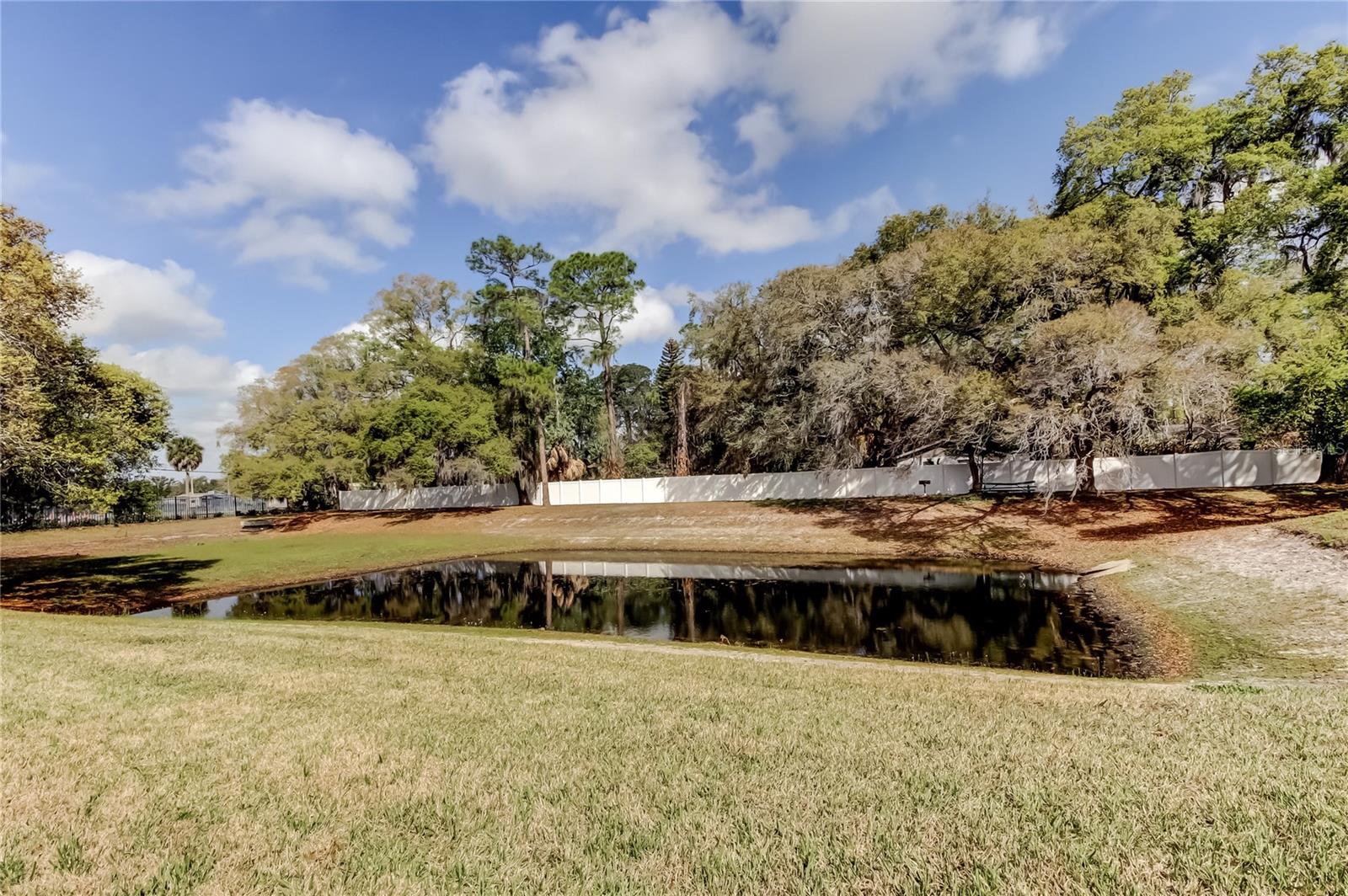 258 ALEXANDER WOODS DR, PLANT CITY, FL, 33563