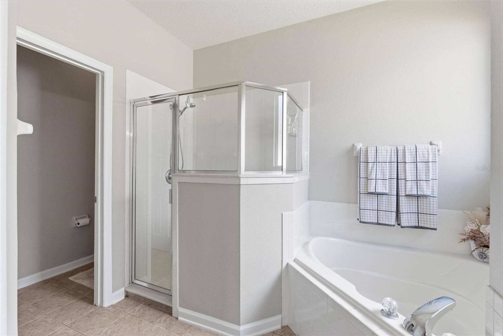 207 COLETON LN, DELAND, FL, 32724