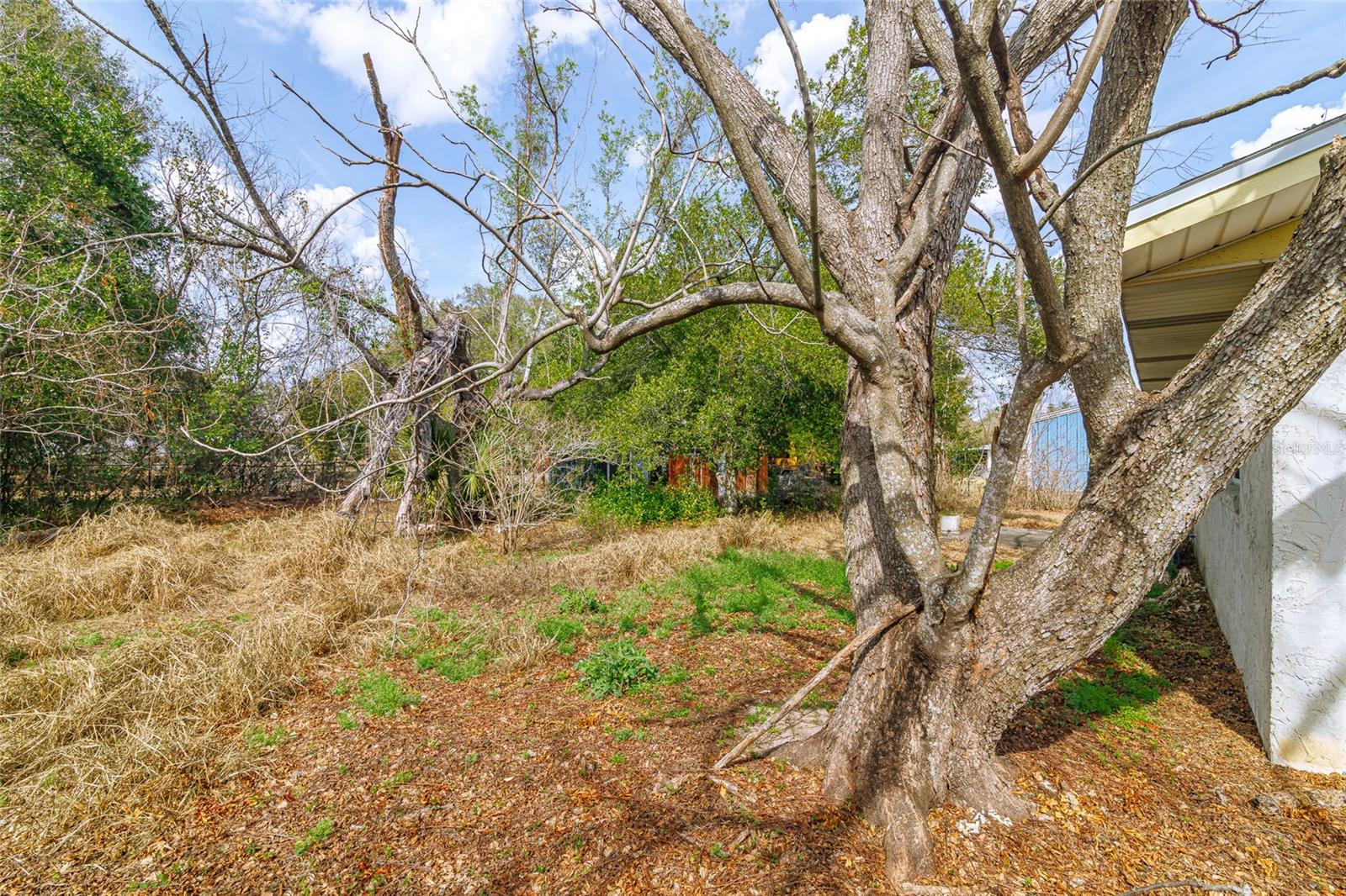 7239 SE 117TH ST, BELLEVIEW, FL, 34420