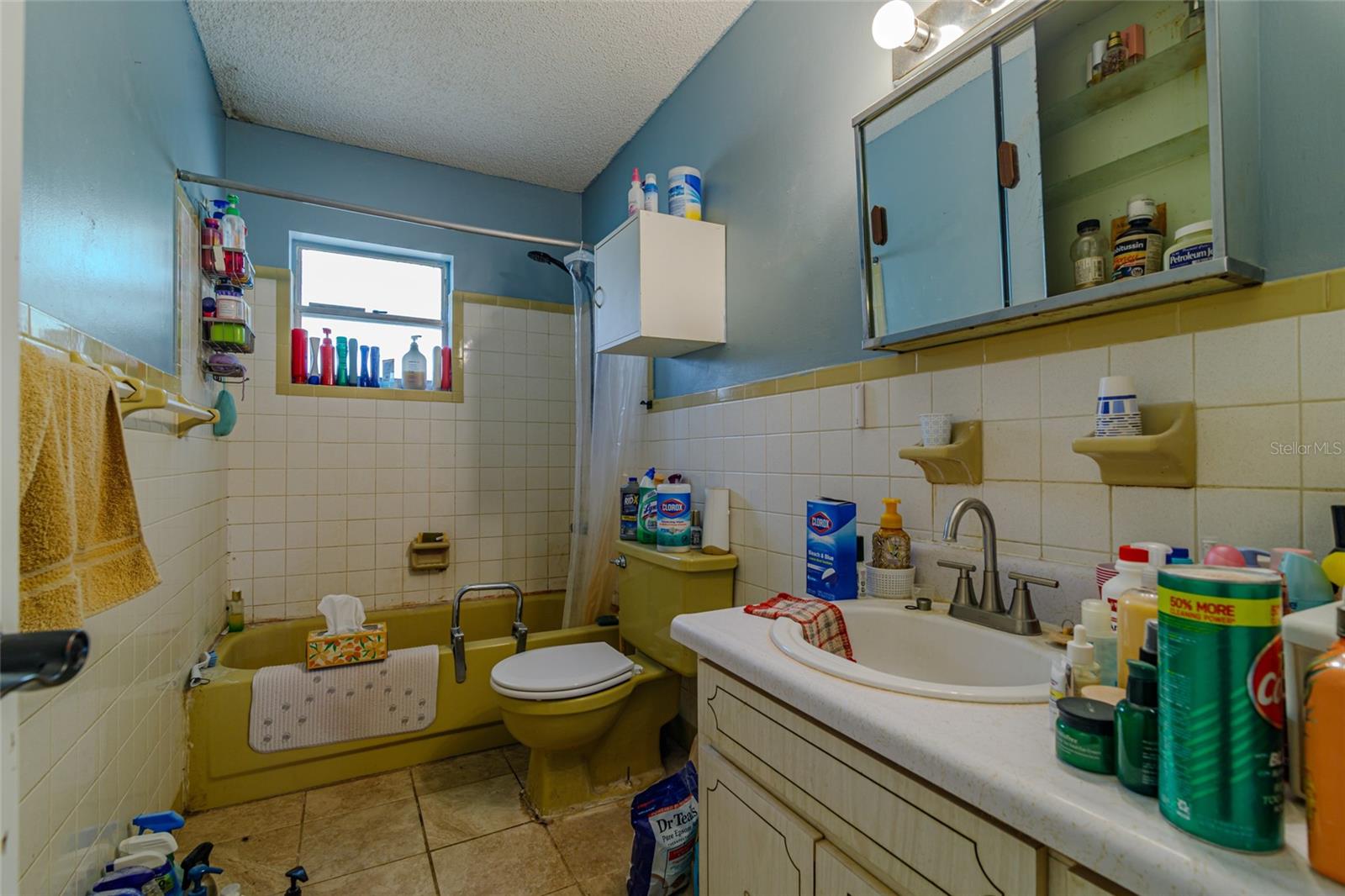 7239 SE 117TH ST, BELLEVIEW, FL, 34420