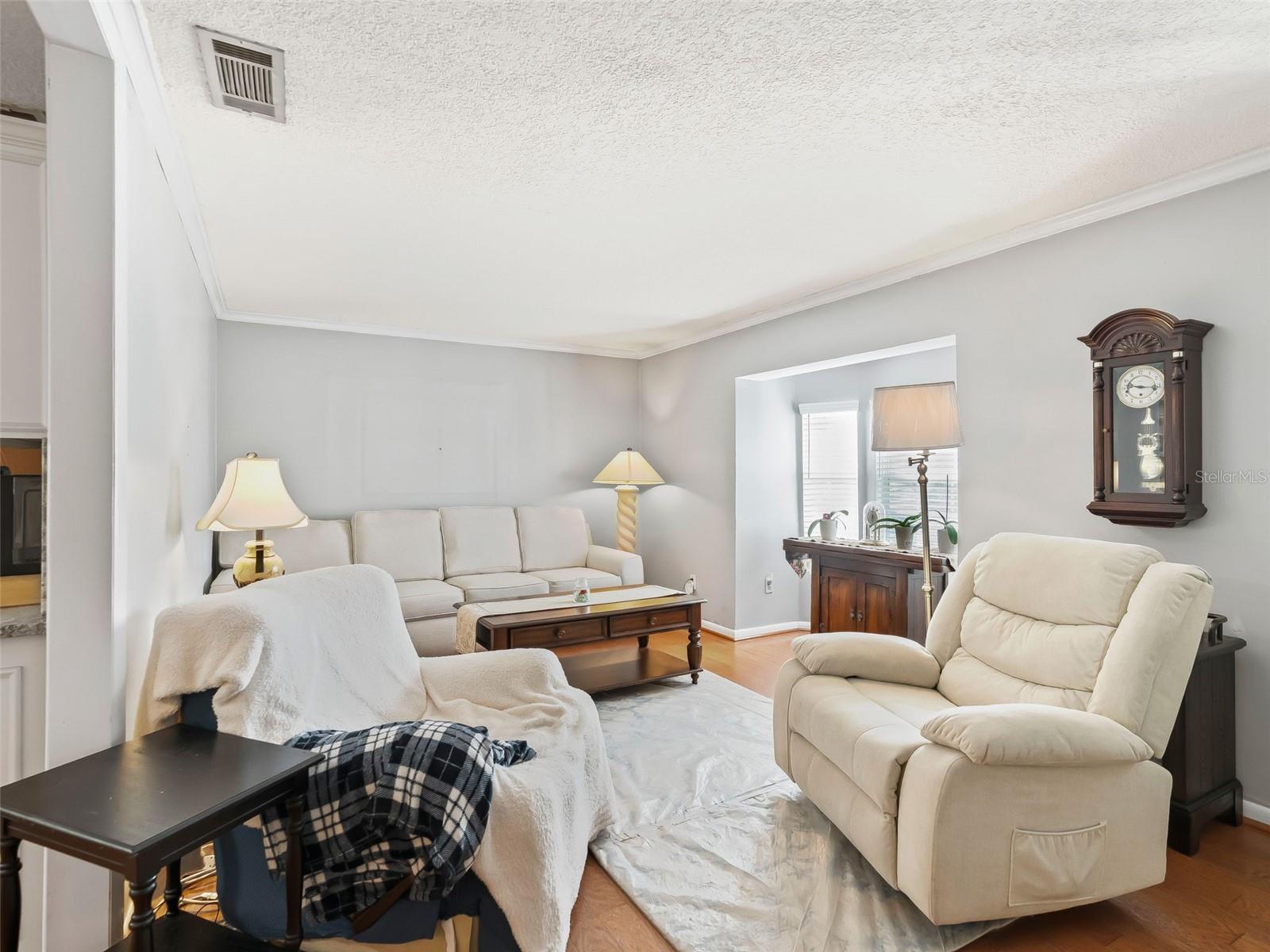 8667 SE 157TH PL, SUMMERFIELD, FL, 34491