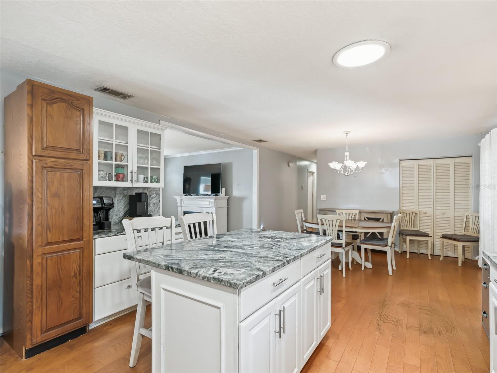 8667 SE 157TH PL, SUMMERFIELD, FL, 34491