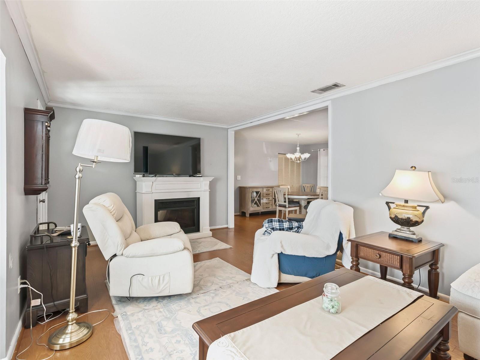 8667 SE 157TH PL, SUMMERFIELD, FL, 34491