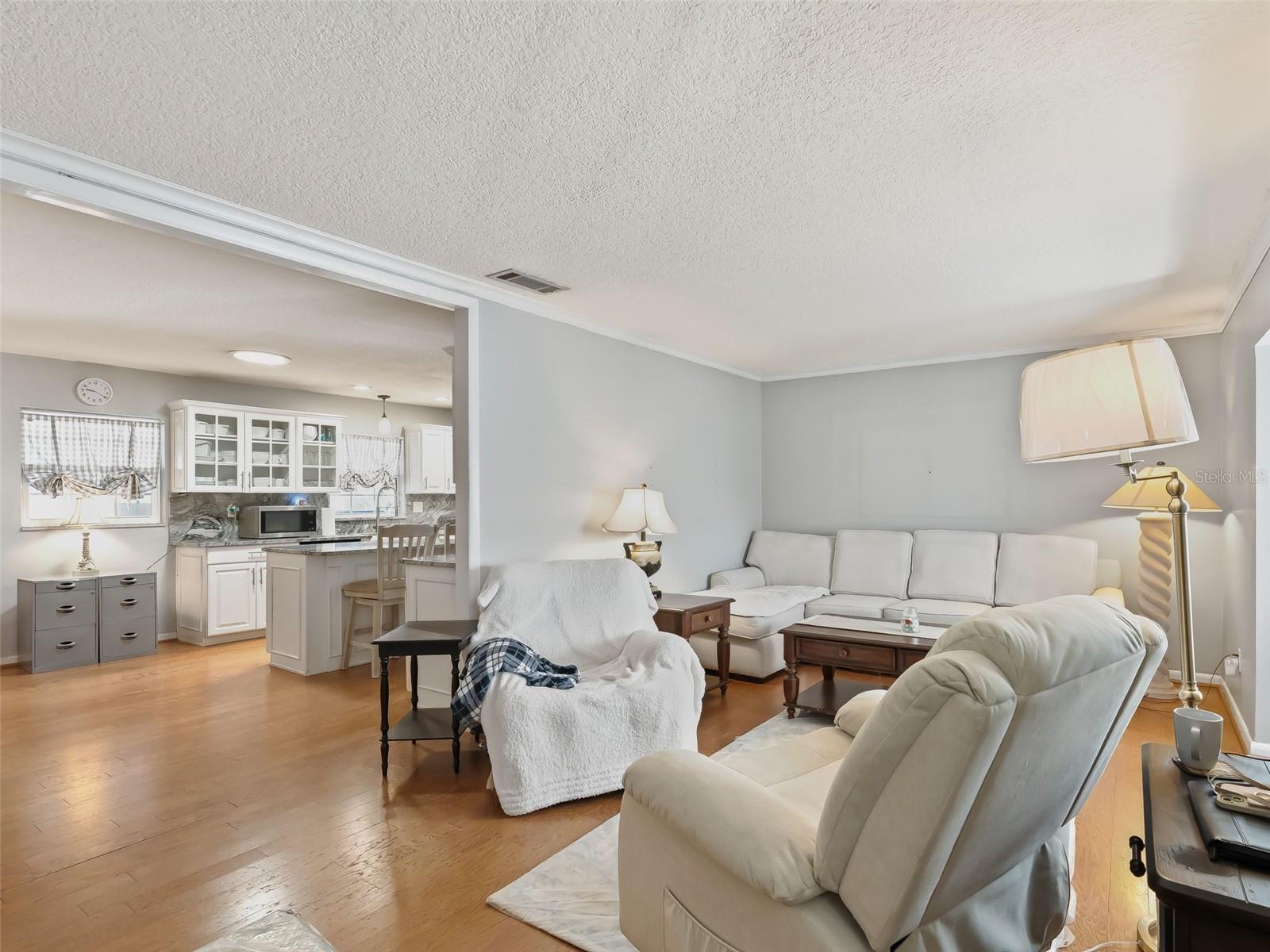 8667 SE 157TH PL, SUMMERFIELD, FL, 34491