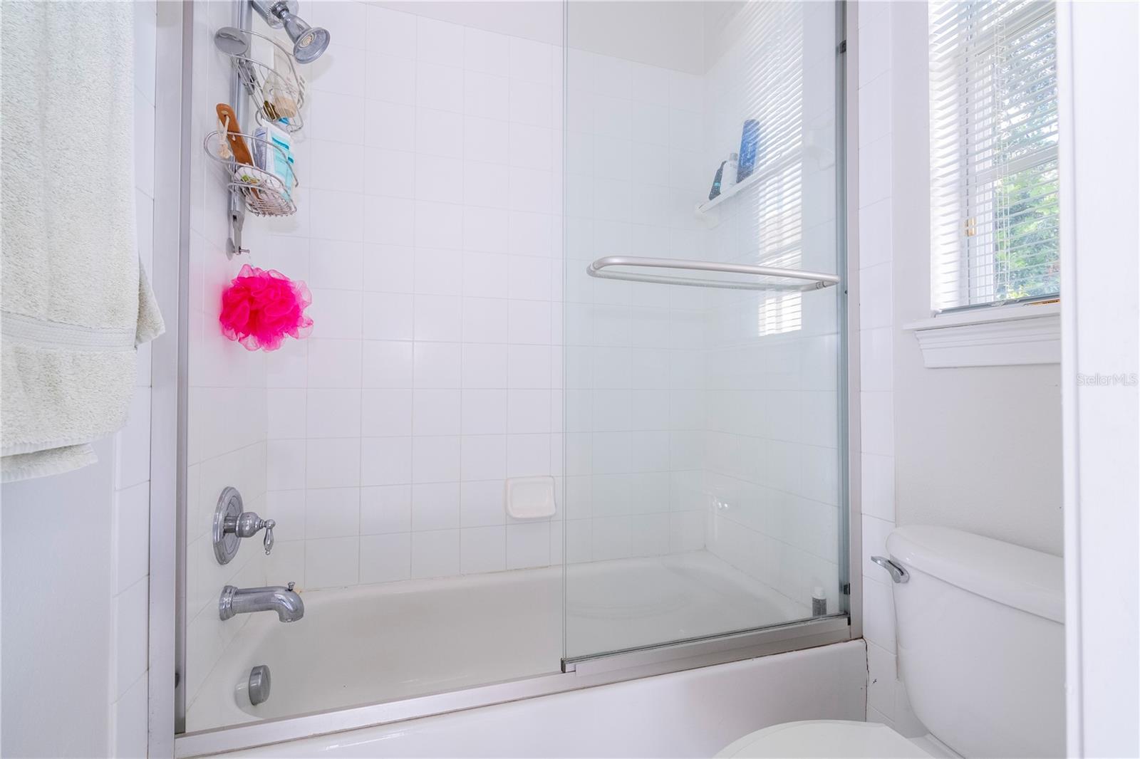 11339 CAMDEN PARK DR, WINDERMERE, FL, 34786