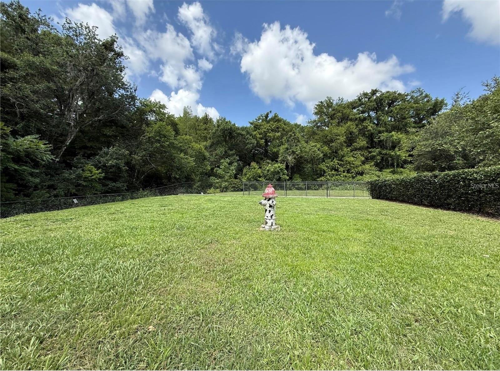 1015 LYCHEE CT, LAKE MARY, FL, 32746