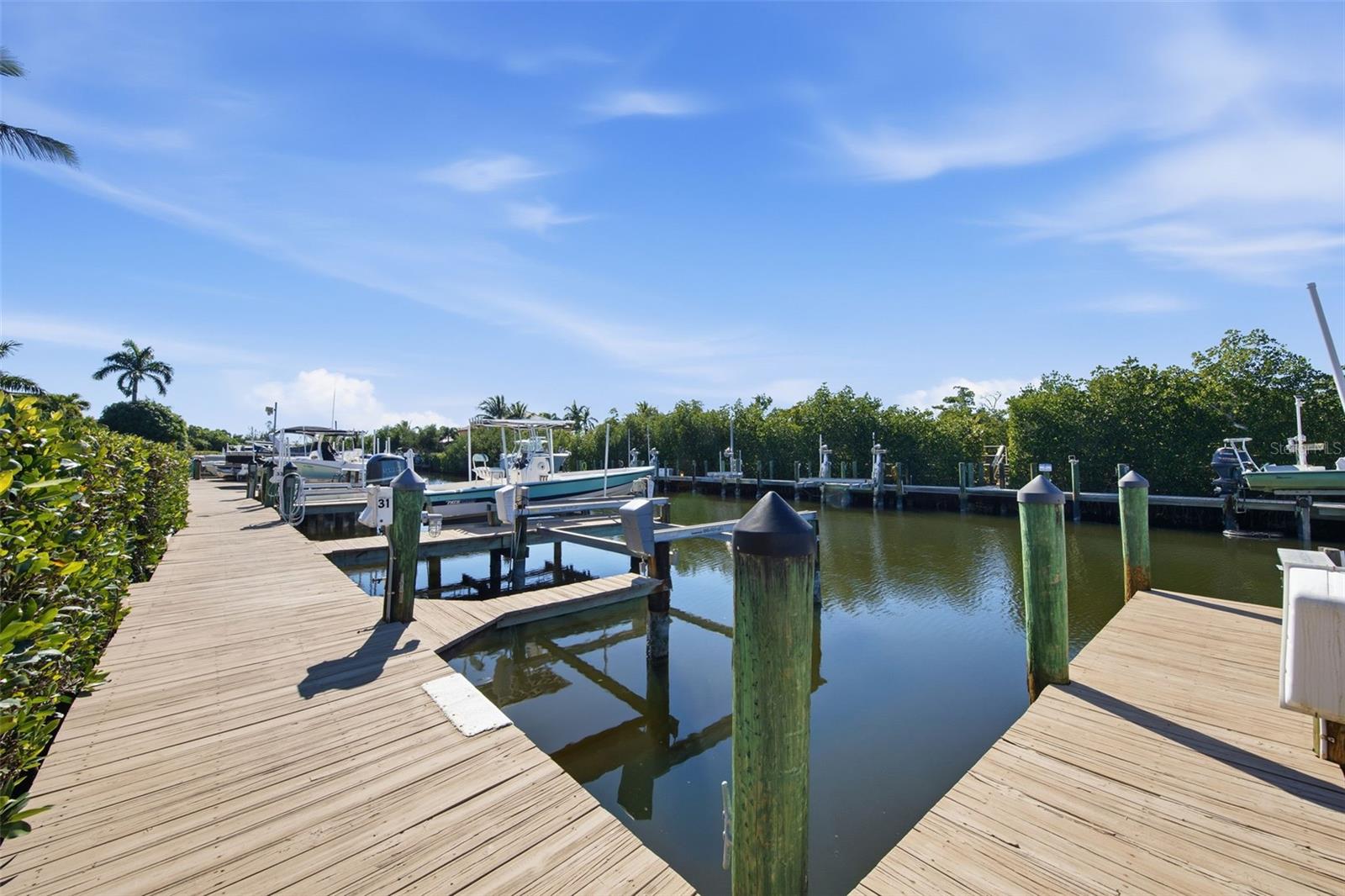 15541 CATALPA COVE DR, FORT MYERS, FL, 33908