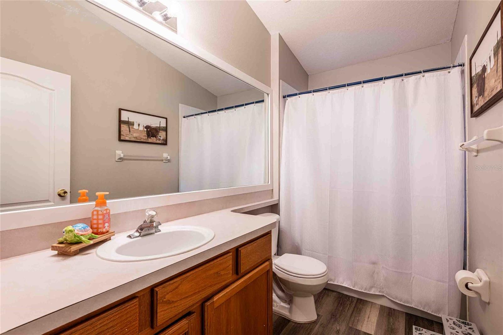 5107 GATO DEL SOL CIR, WESLEY CHAPEL, FL, 33544