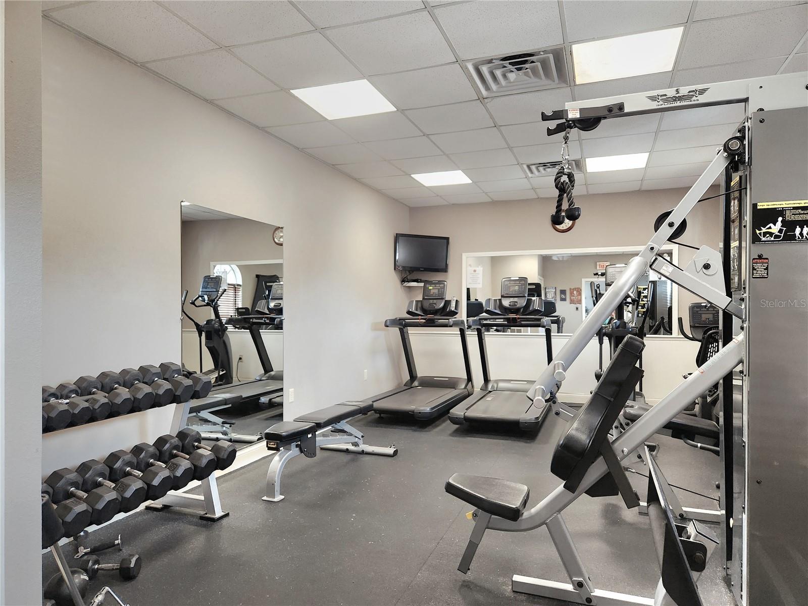 1426 APPLETON PLACE, WESLEY CHAPEL, FL, 33543