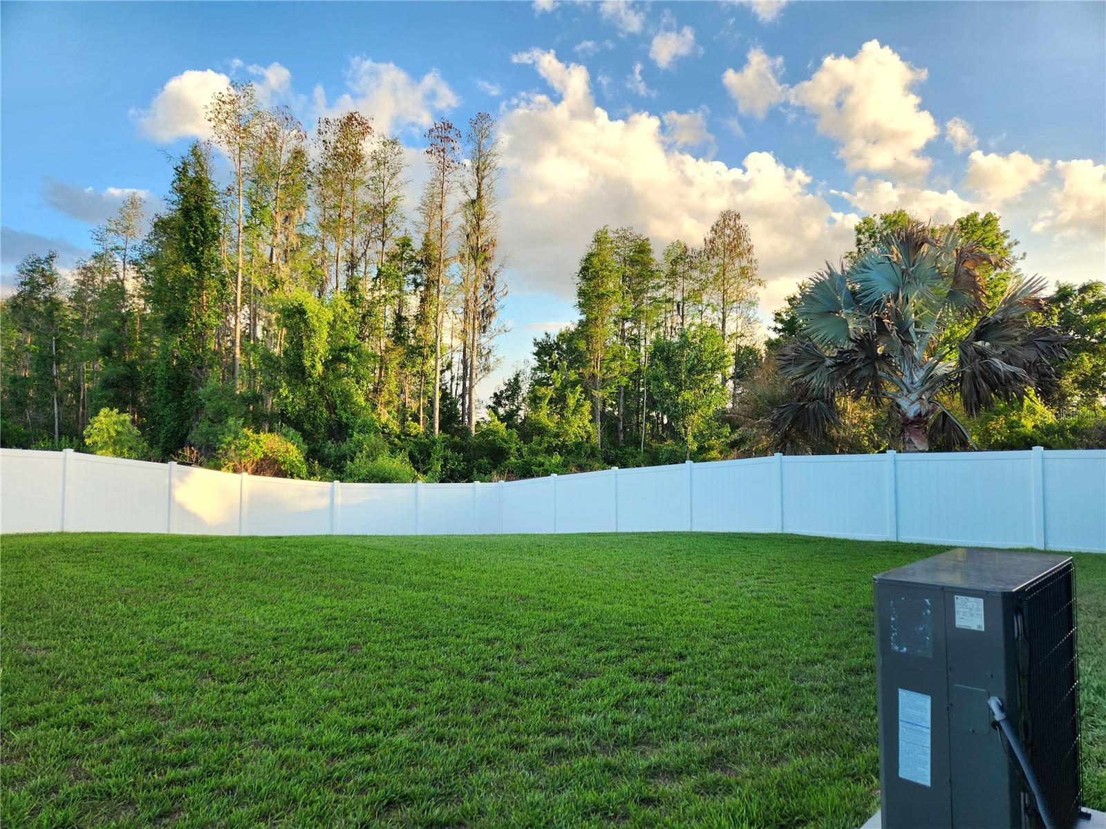 1426 APPLETON PLACE, WESLEY CHAPEL, FL, 33543