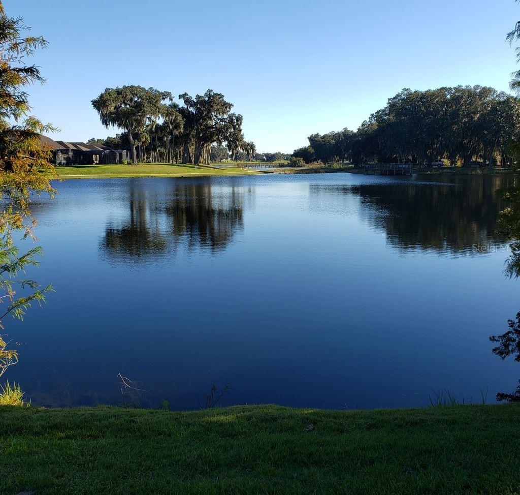 333 NAVARRA LN, DAVENPORT, FL, 33837