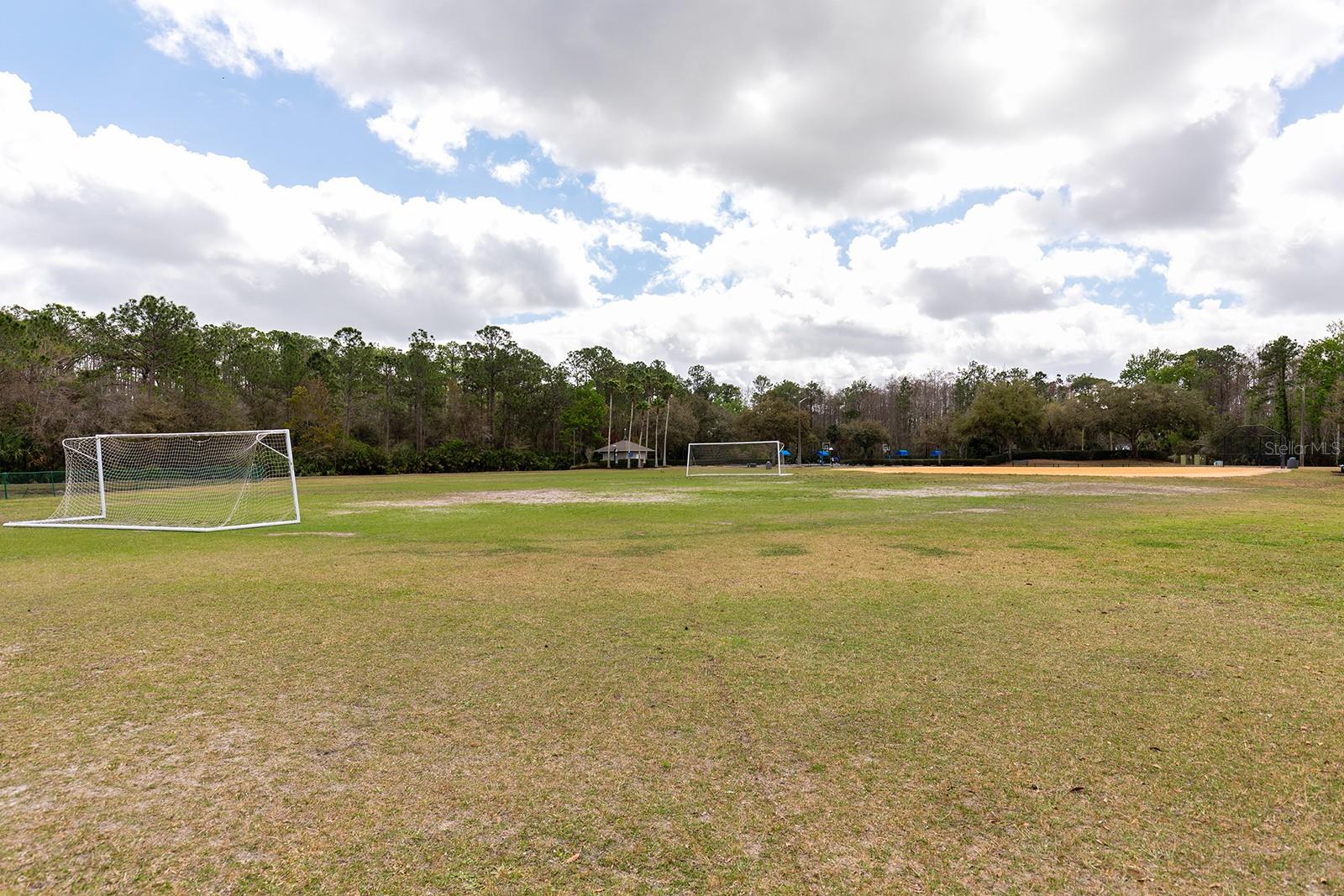 14909 YORKSHIRE RUN DR, ORLANDO, FL, 32828