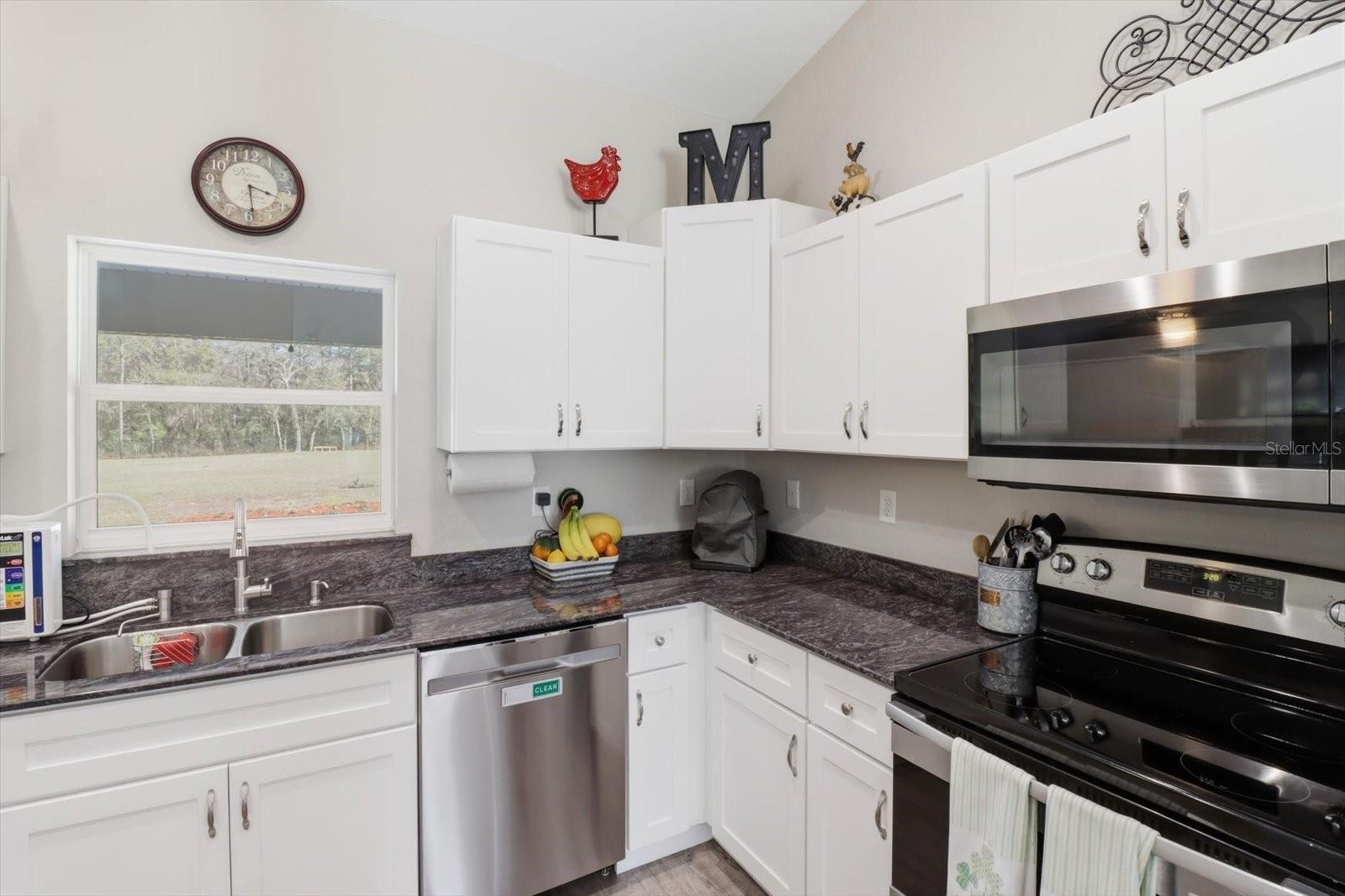 8199 SW 129TH TERRACE RD, DUNNELLON, FL, 34432