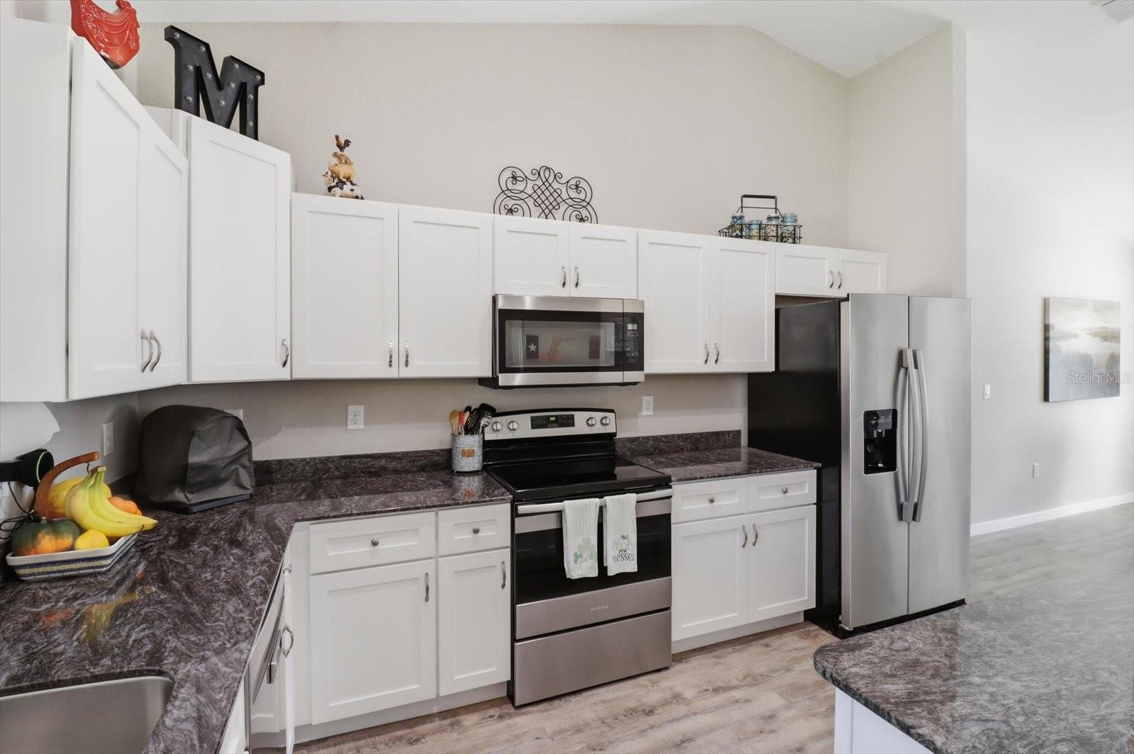 8199 SW 129TH TERRACE RD, DUNNELLON, FL, 34432