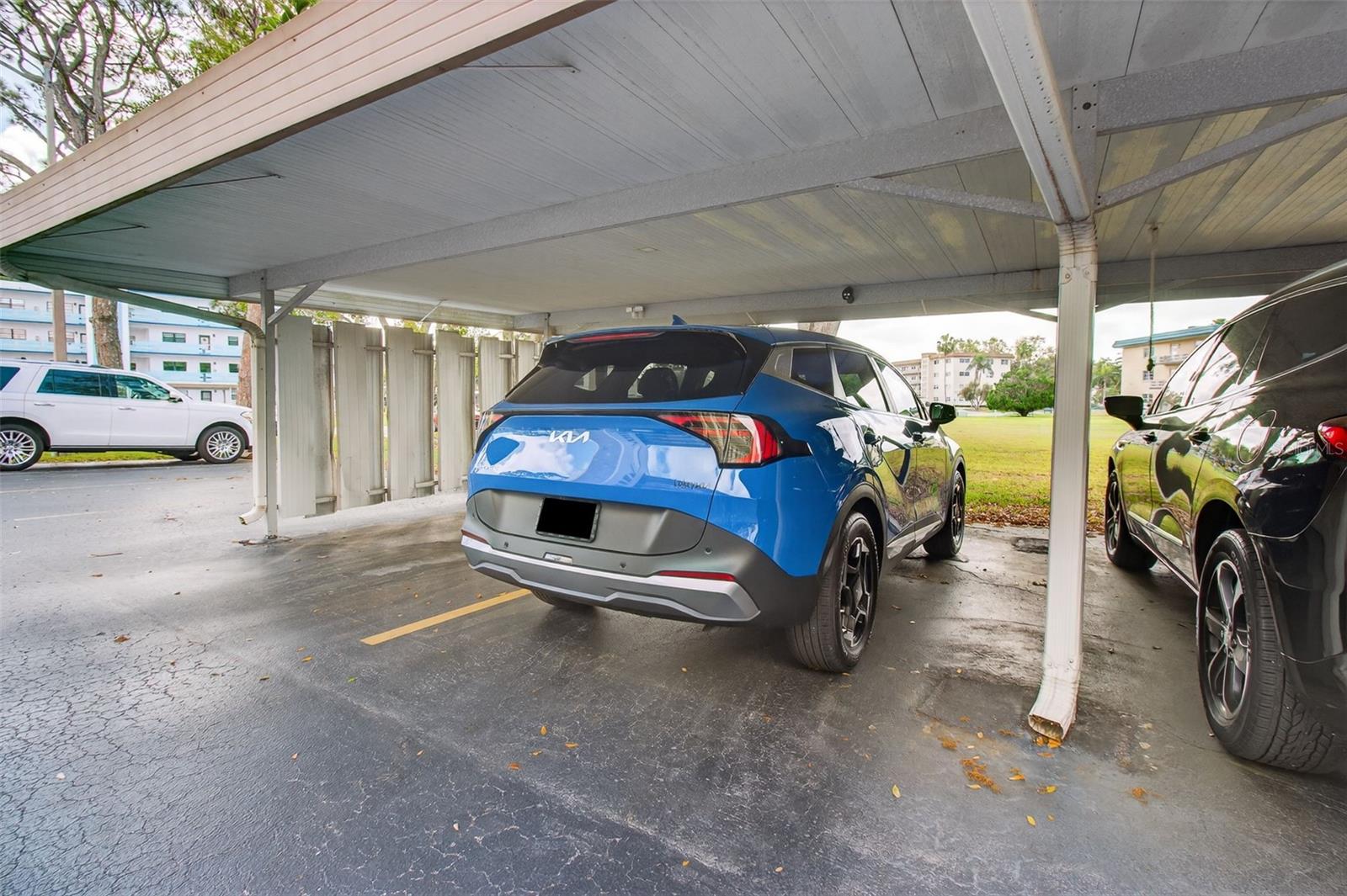 5920 80TH ST N #203, ST PETERSBURG, FL, 33709