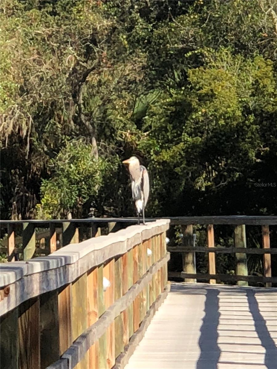 5635 WHITEHEAD ST, BRADENTON, FL, 34203