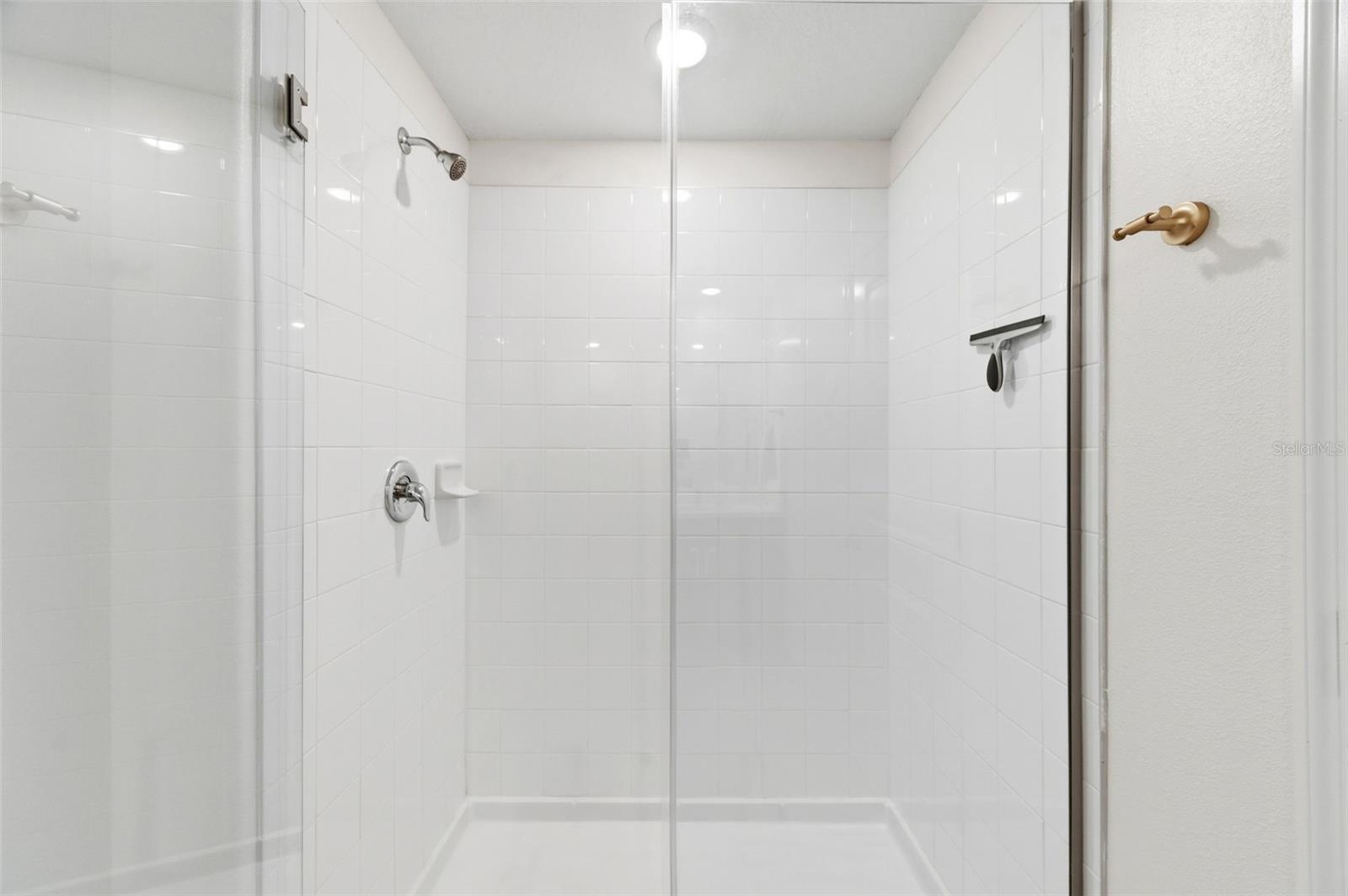 10387 SCARLET SKIMMER DR, RIVERVIEW, FL, 33578