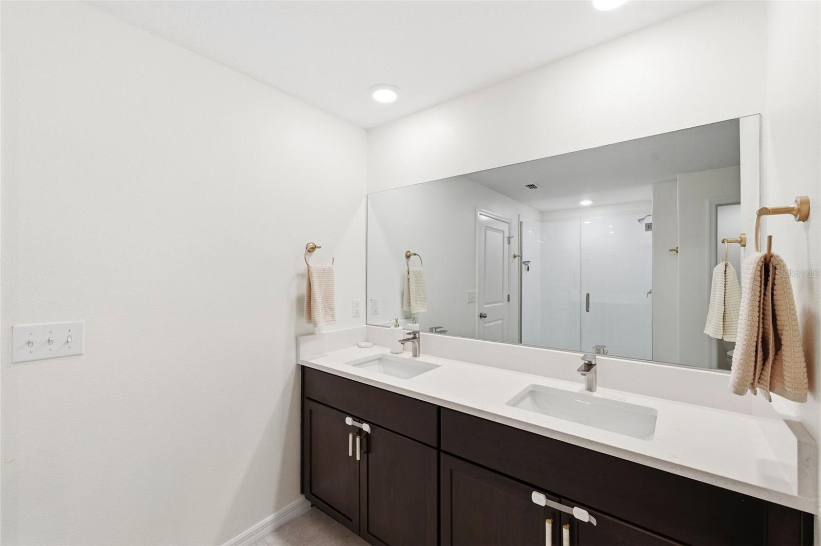 10387 SCARLET SKIMMER DR, RIVERVIEW, FL, 33578