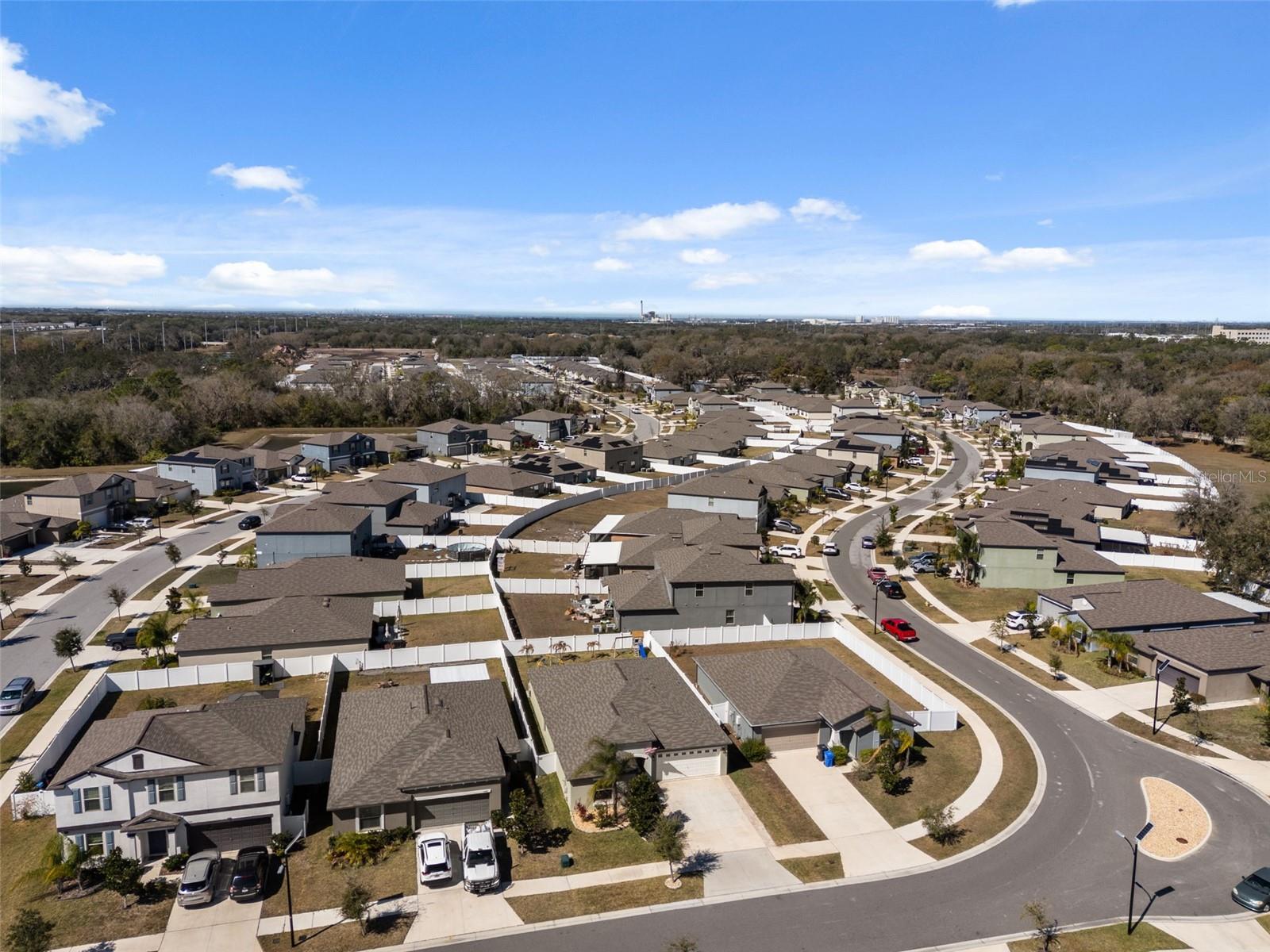 10387 SCARLET SKIMMER DR, RIVERVIEW, FL, 33578