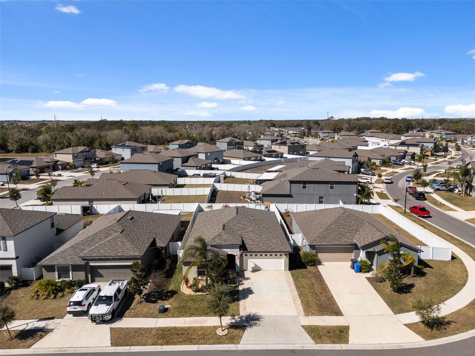 10387 SCARLET SKIMMER DR, RIVERVIEW, FL, 33578