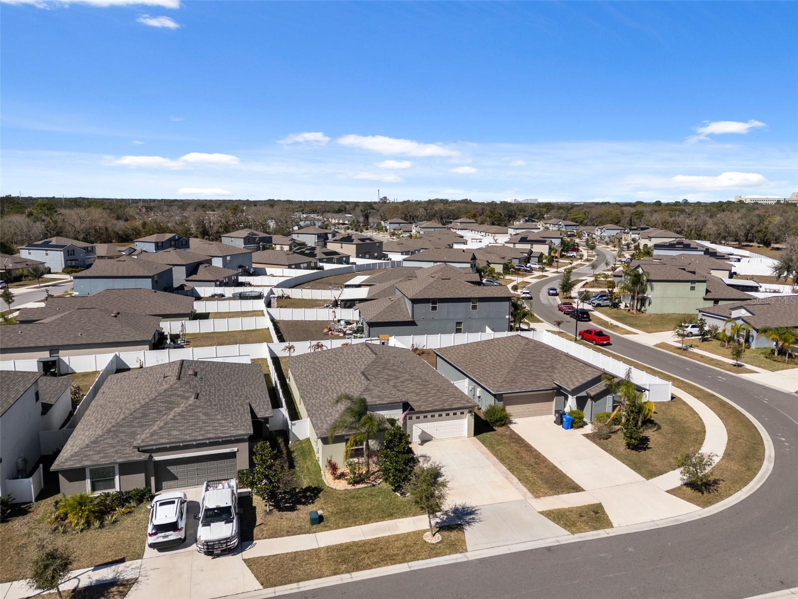 10387 SCARLET SKIMMER DR, RIVERVIEW, FL, 33578