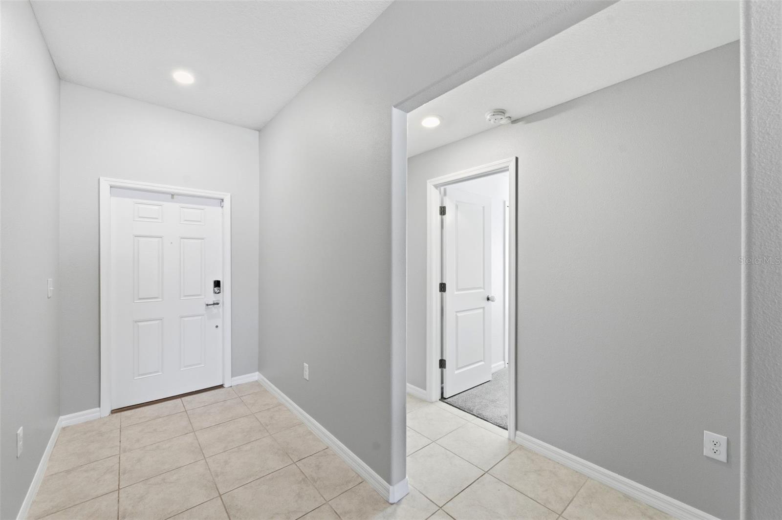 10387 SCARLET SKIMMER DR, RIVERVIEW, FL, 33578