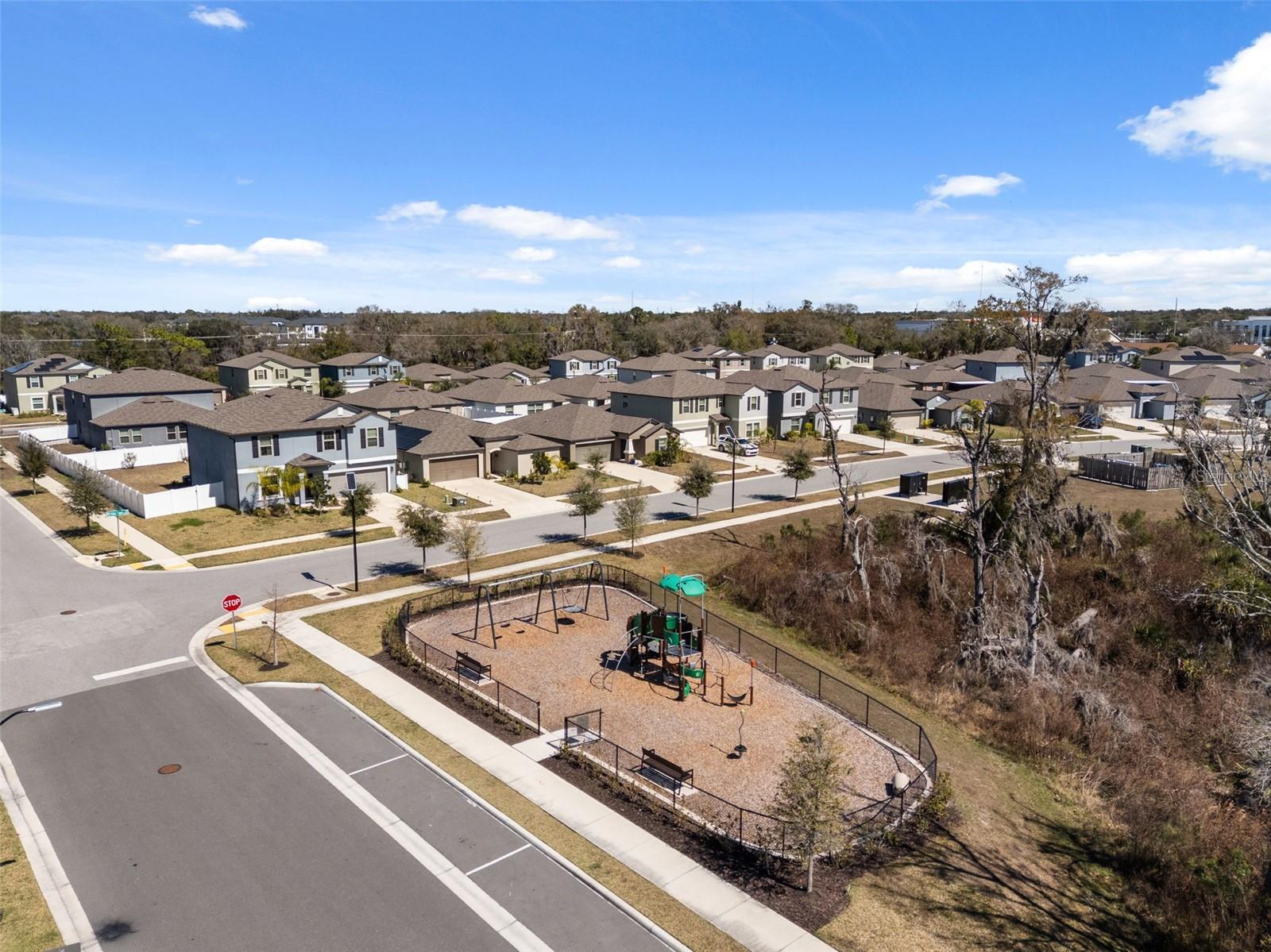 10387 SCARLET SKIMMER DR, RIVERVIEW, FL, 33578