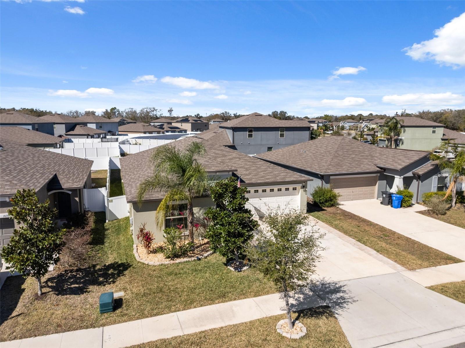 10387 SCARLET SKIMMER DR, RIVERVIEW, FL, 33578