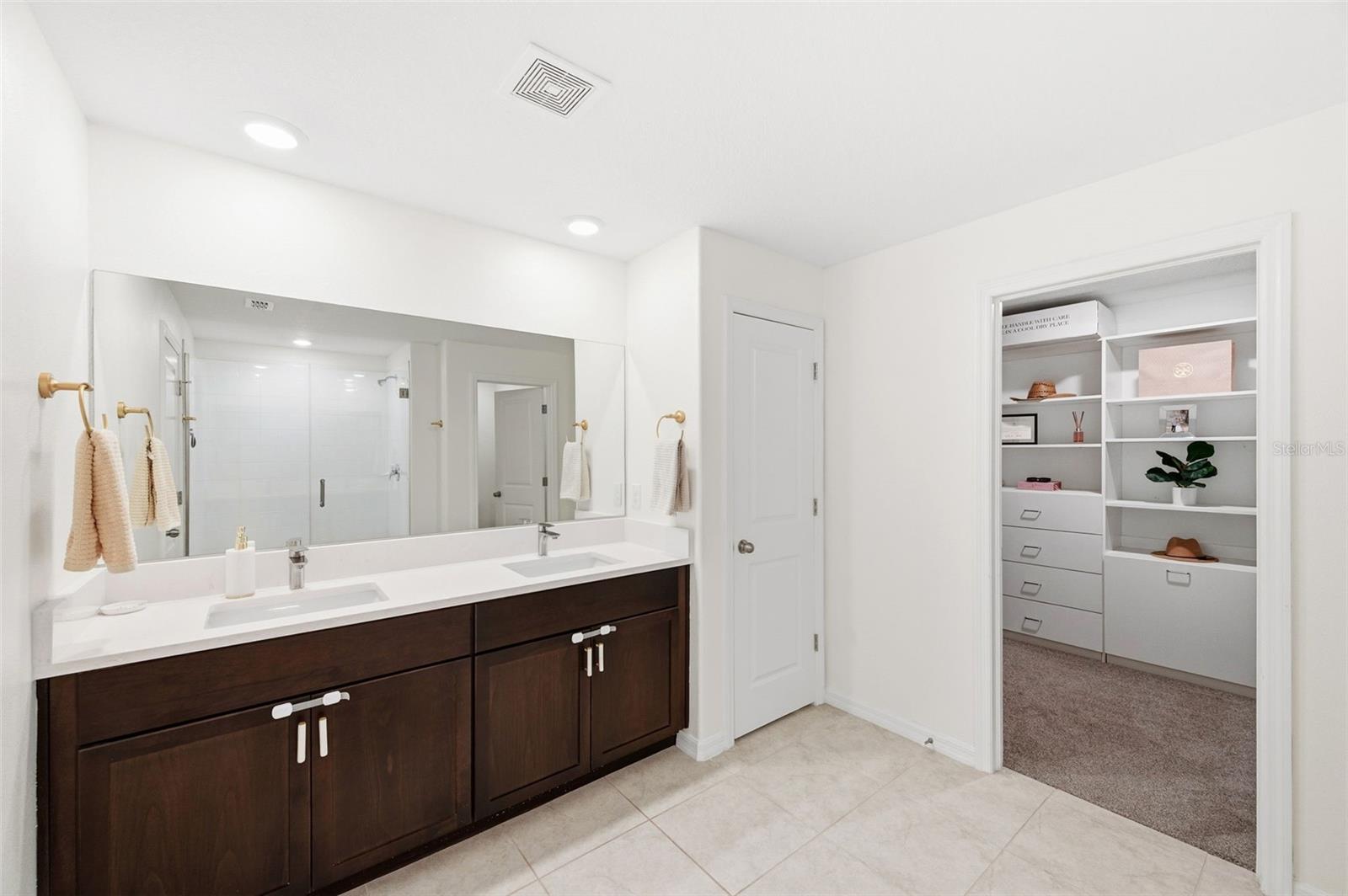 10387 SCARLET SKIMMER DR, RIVERVIEW, FL, 33578