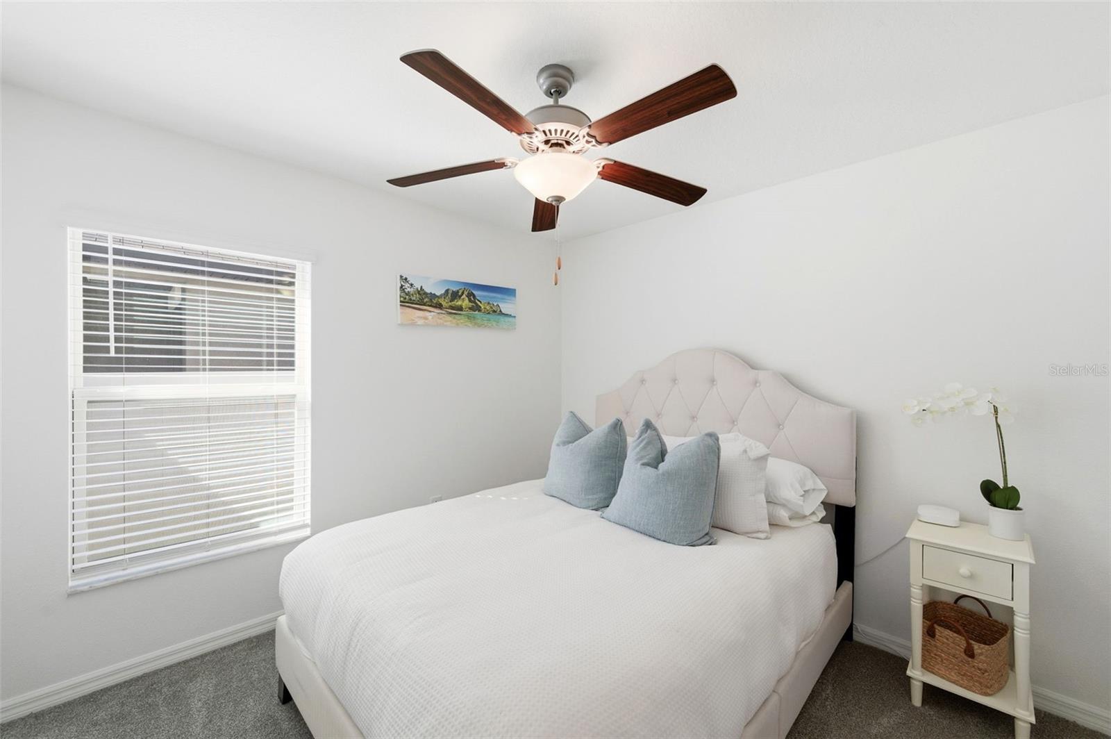 10387 SCARLET SKIMMER DR, RIVERVIEW, FL, 33578