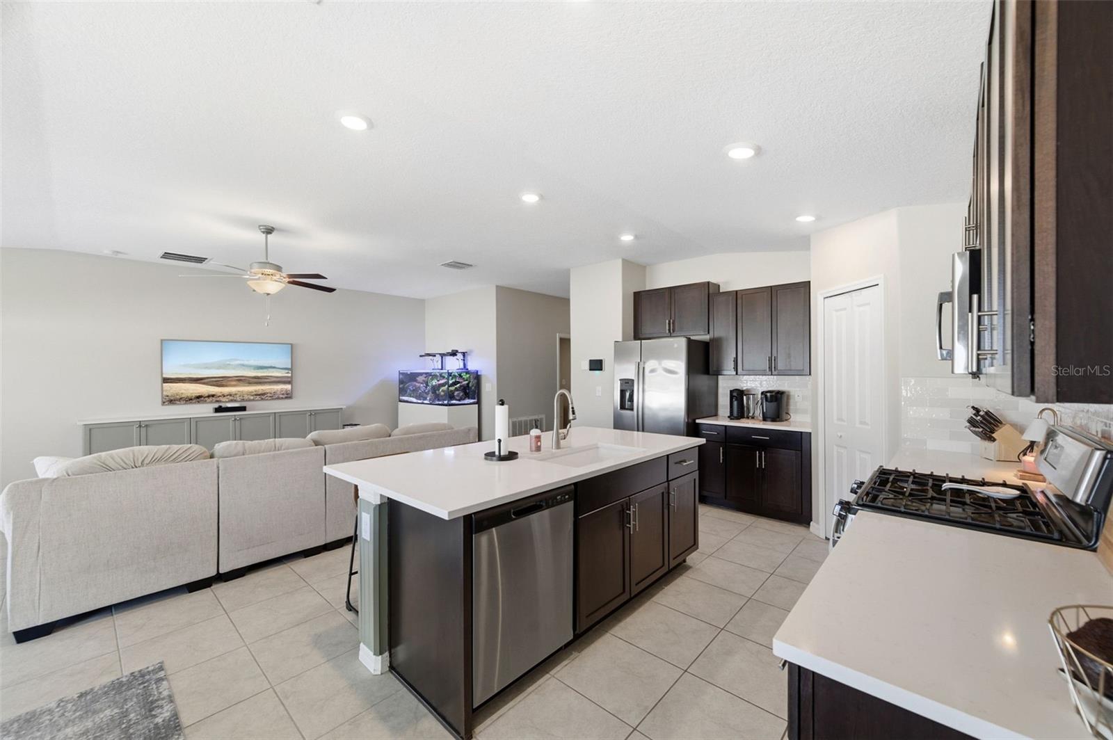 10387 SCARLET SKIMMER DR, RIVERVIEW, FL, 33578