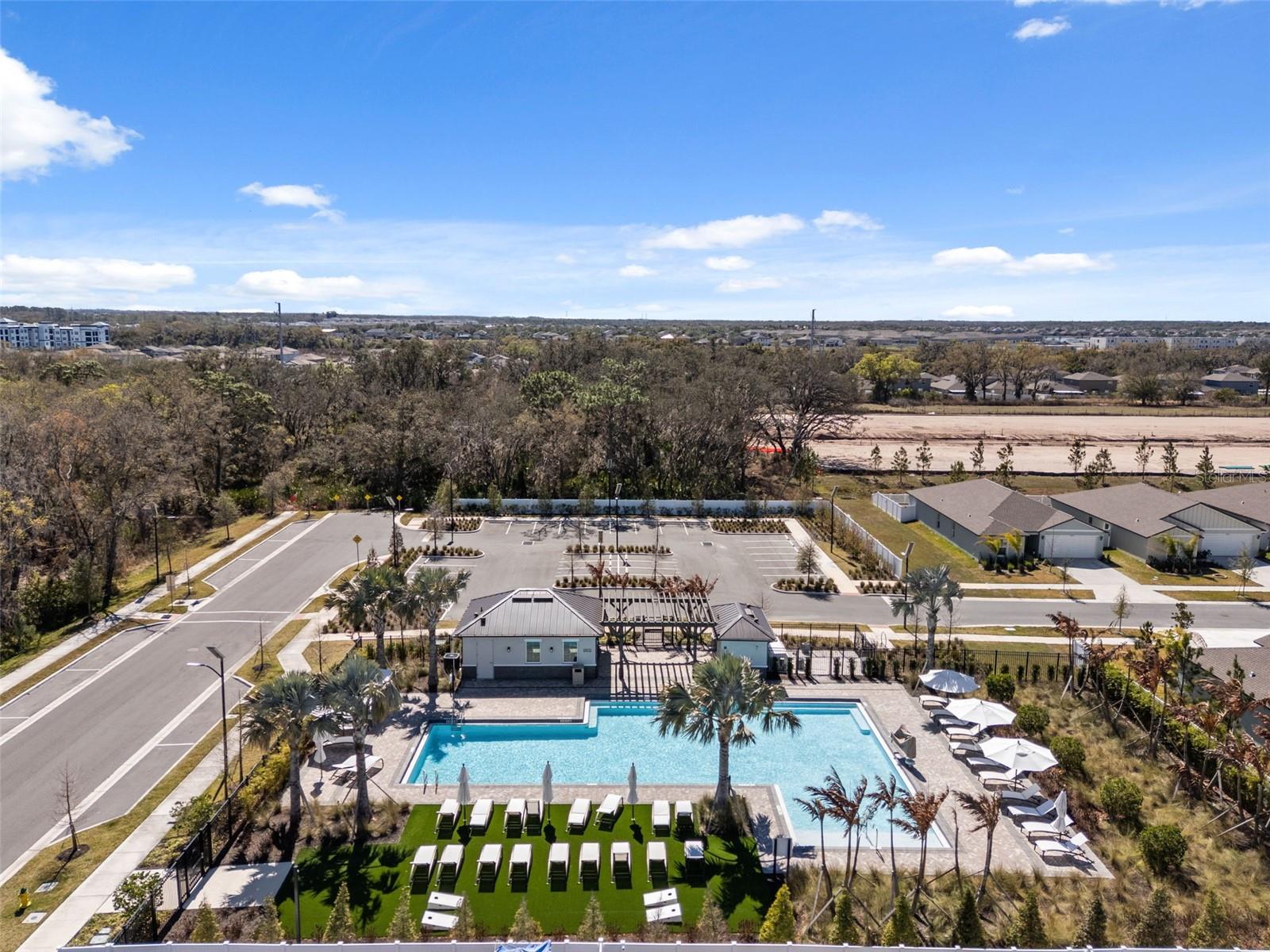 10387 SCARLET SKIMMER DR, RIVERVIEW, FL, 33578