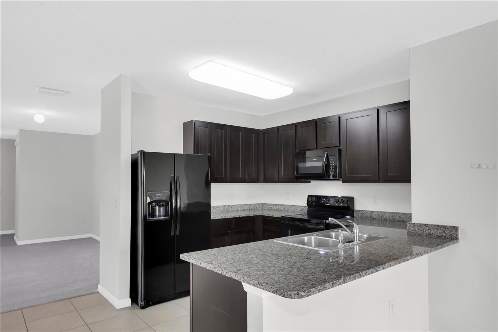 3608 DIAMOND LEAF CT, VALRICO, FL, 33594