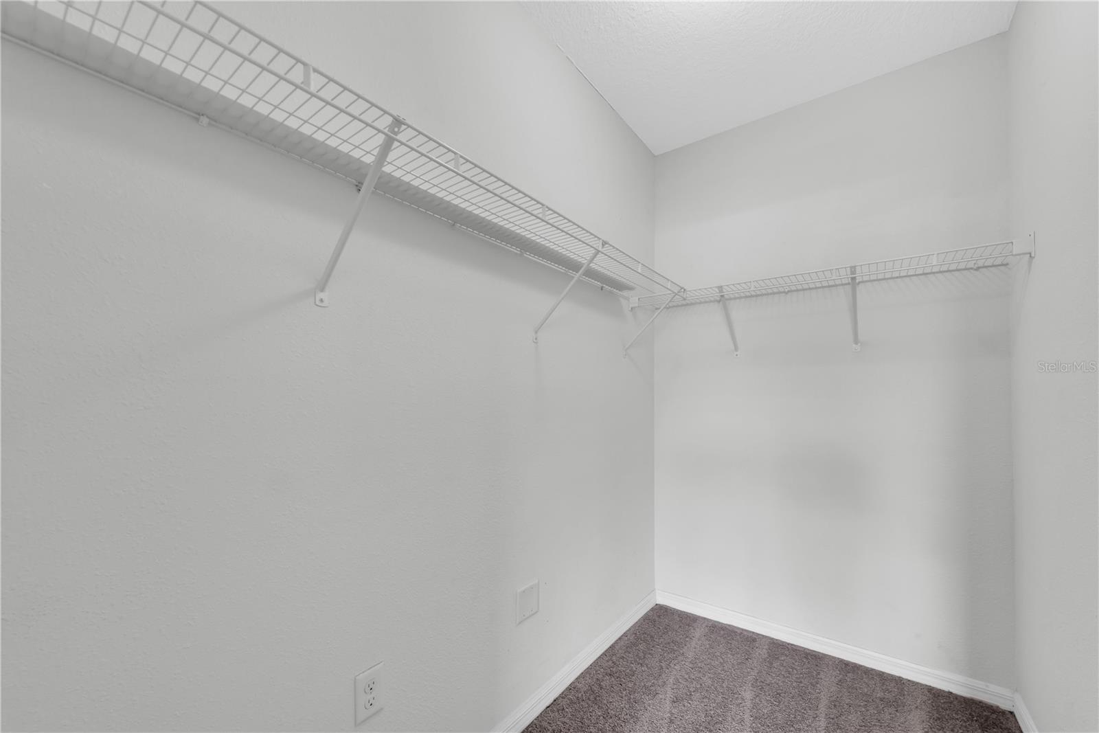 3608 DIAMOND LEAF CT, VALRICO, FL, 33594