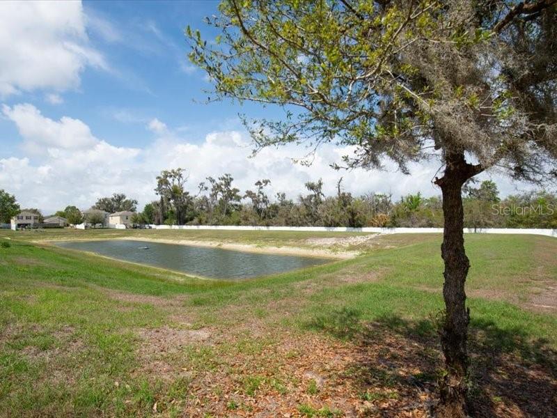 3608 DIAMOND LEAF CT, VALRICO, FL, 33594