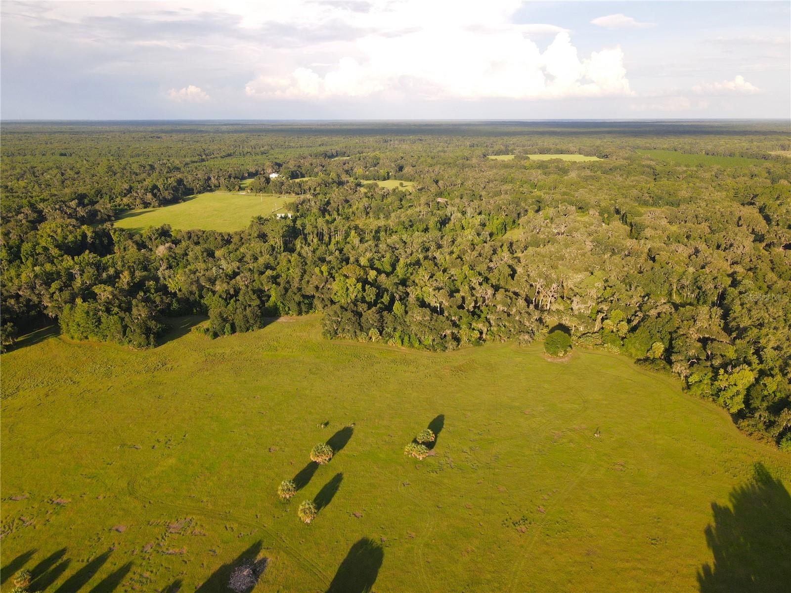 11816 SE COUNTY ROAD 234, MICANOPY, FL, 32667