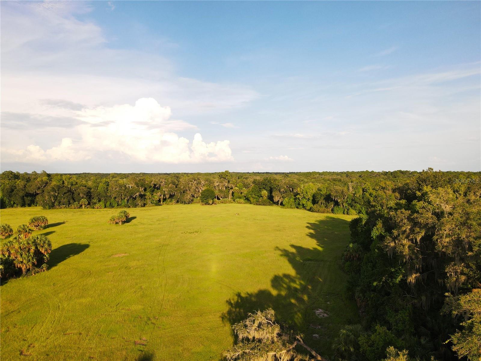 11816 SE COUNTY ROAD 234, MICANOPY, FL, 32667