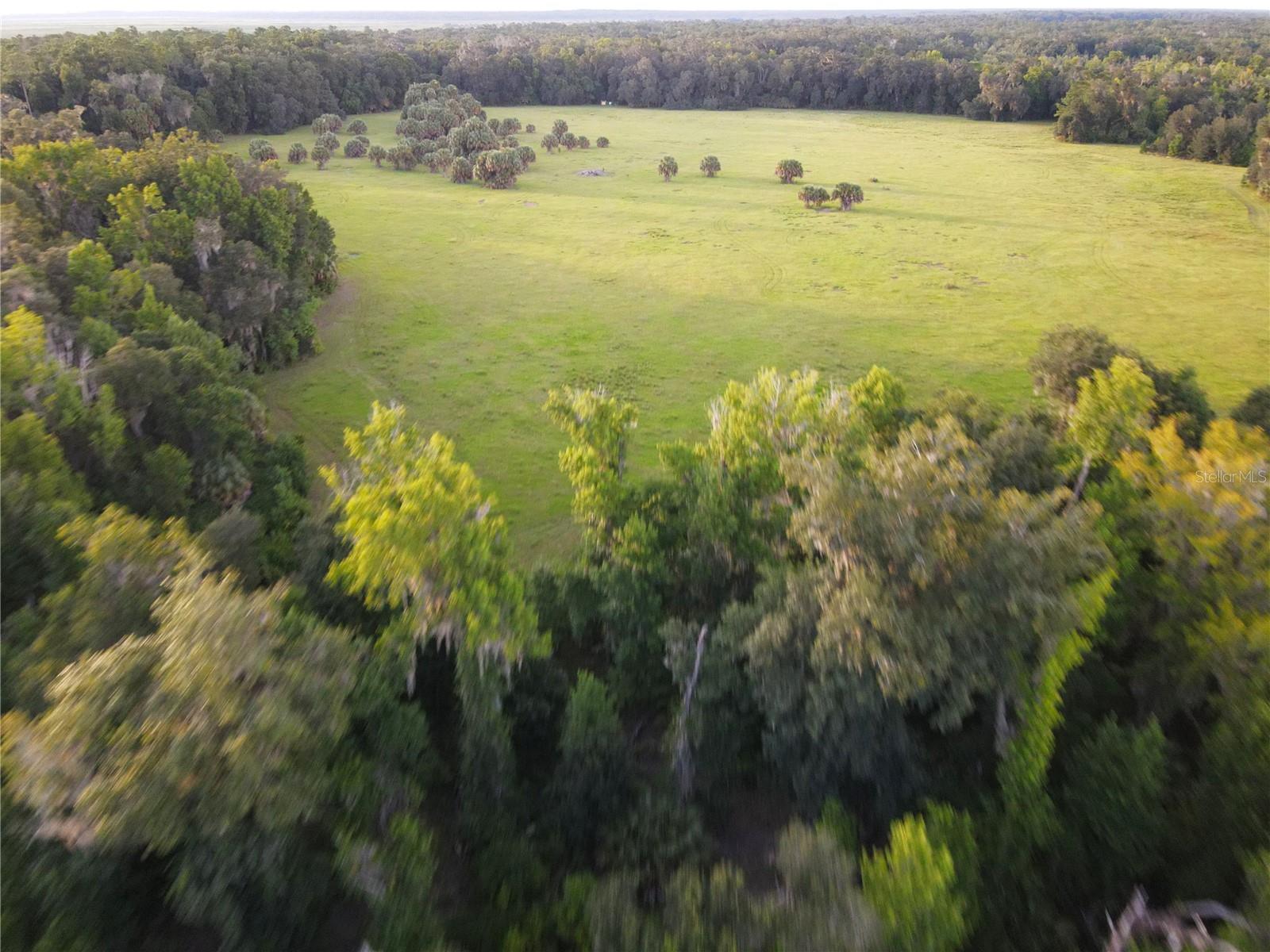 11816 SE COUNTY ROAD 234, MICANOPY, FL, 32667