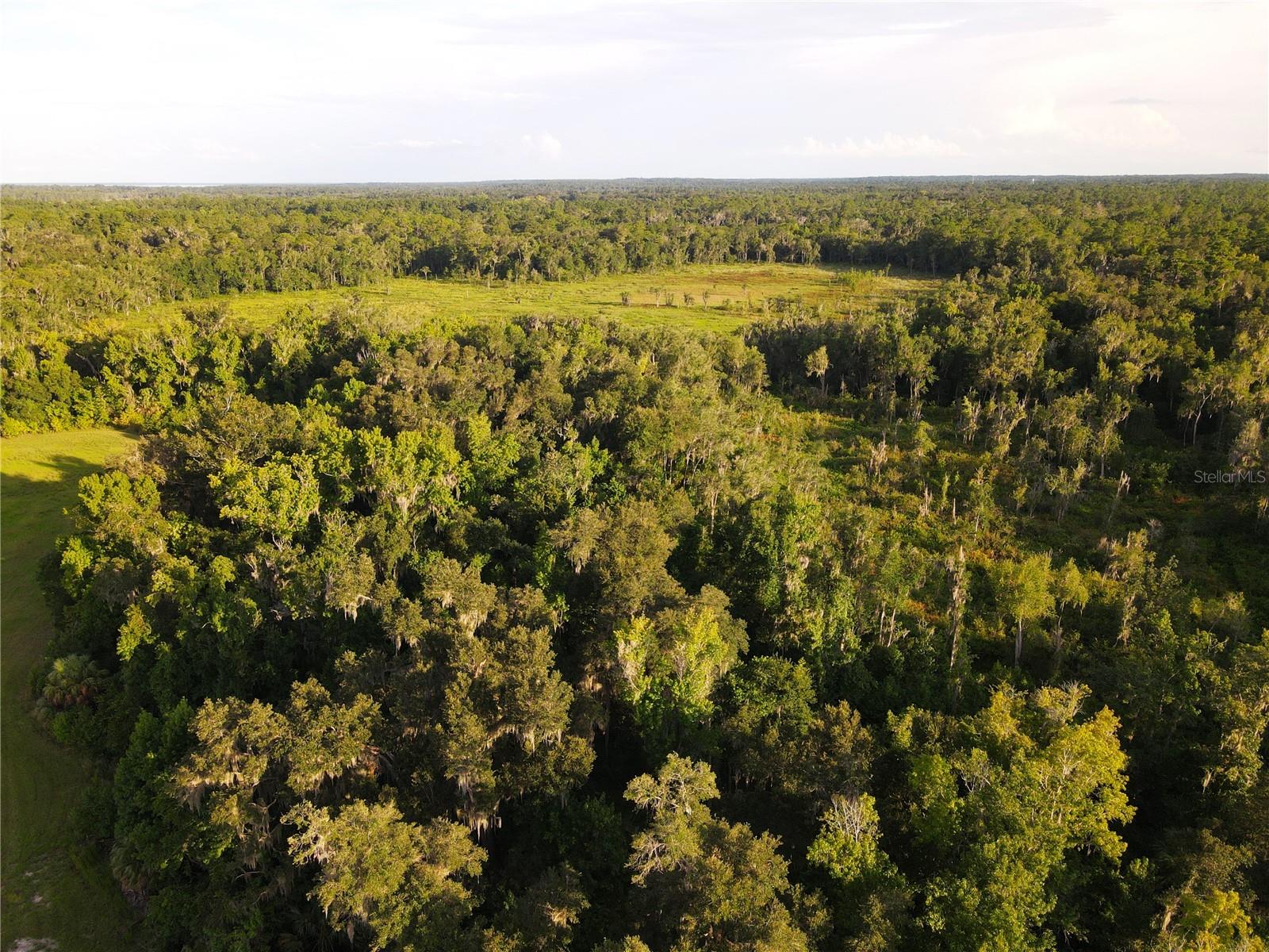 11816 SE COUNTY ROAD 234, MICANOPY, FL, 32667