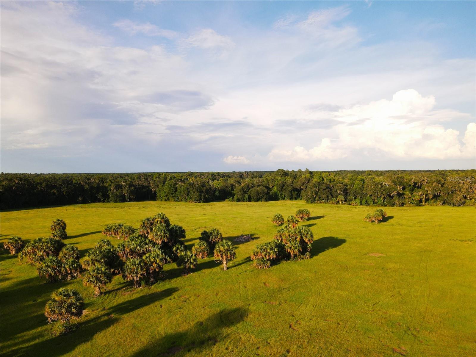 11816 SE COUNTY ROAD 234, MICANOPY, FL, 32667