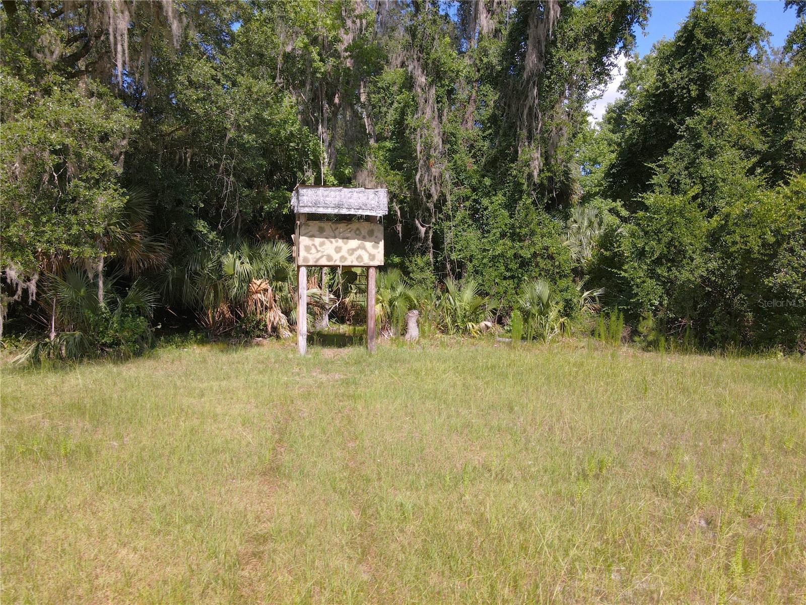 11816 SE COUNTY ROAD 234, MICANOPY, FL, 32667