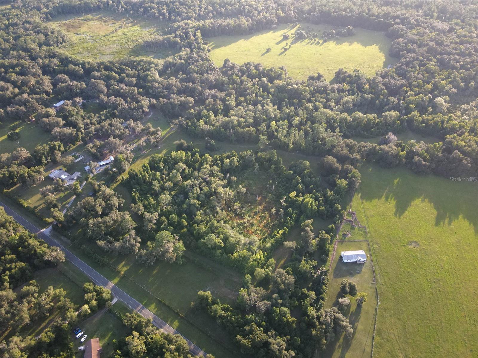 11816 SE COUNTY ROAD 234, MICANOPY, FL, 32667