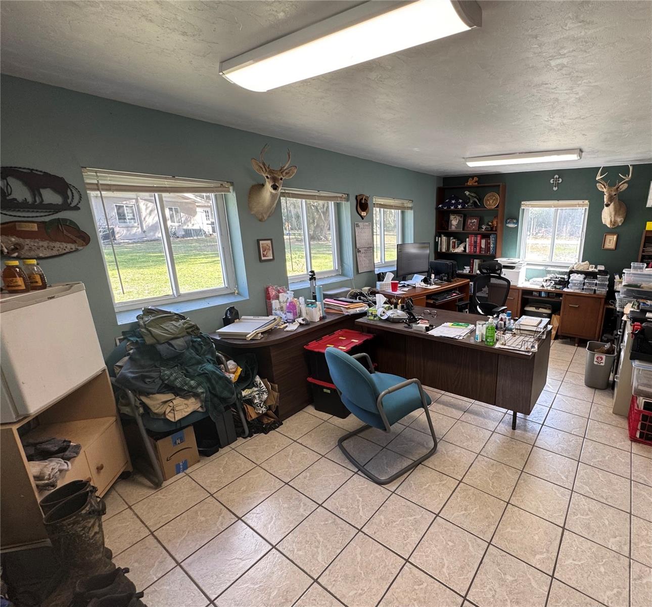 11816 SE COUNTY ROAD 234, MICANOPY, FL, 32667